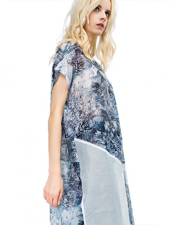 Plus Size Hot Sale Women Elegant Asymmetrical Organza Dress Long Print Dress